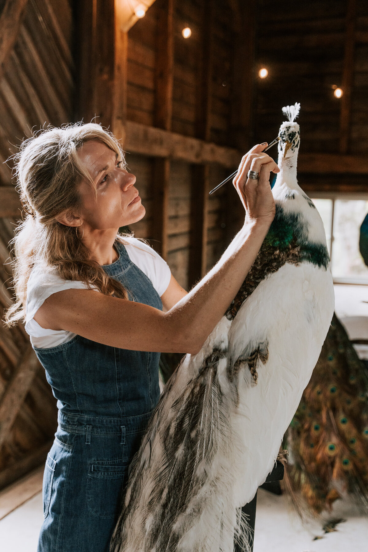 Taxidermy Chick Web-19