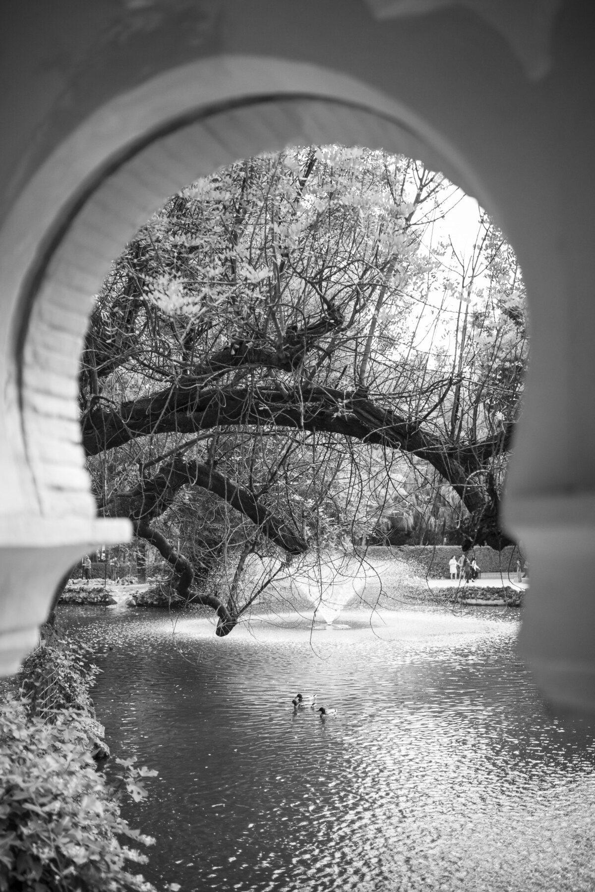 Aixa & Amer _GGWeddings_2025-273