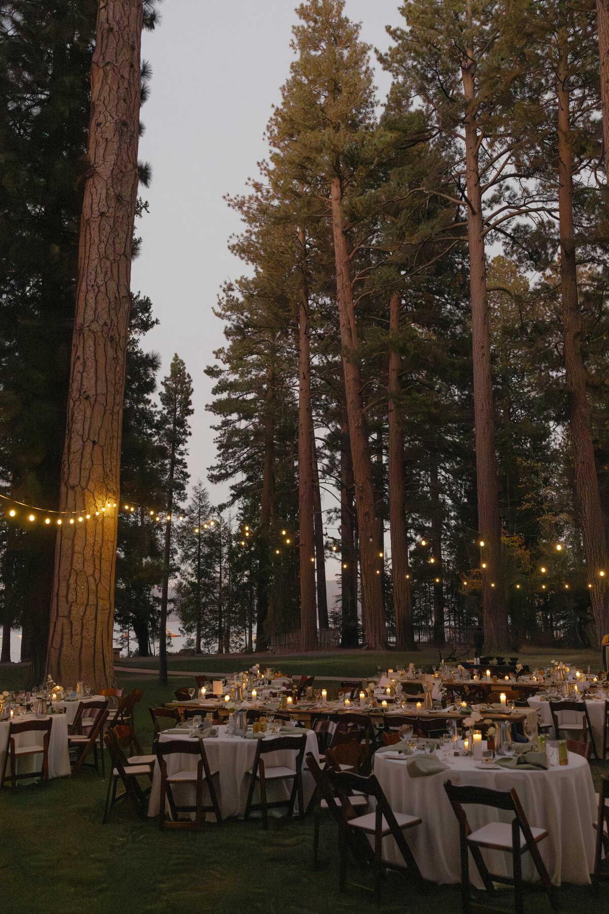 Abby + Mitch Valhalla Wedding Lake Tahoe _ Katherine Krakowski Lake Tahoe Reno Photographer-341