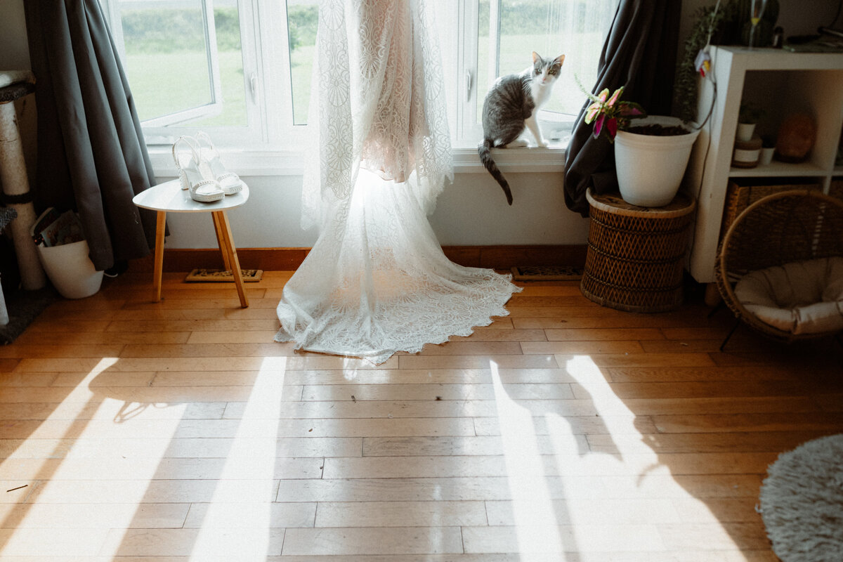 wedding dress hanging in a window with a cat sitting beside it