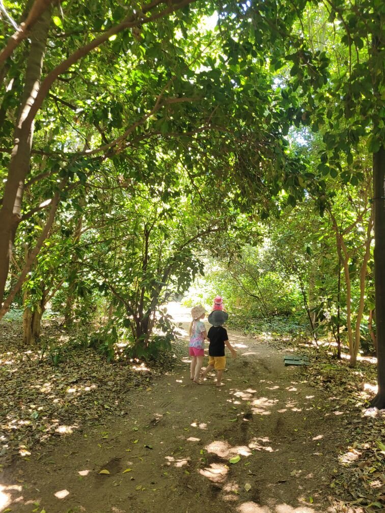 walking 2
