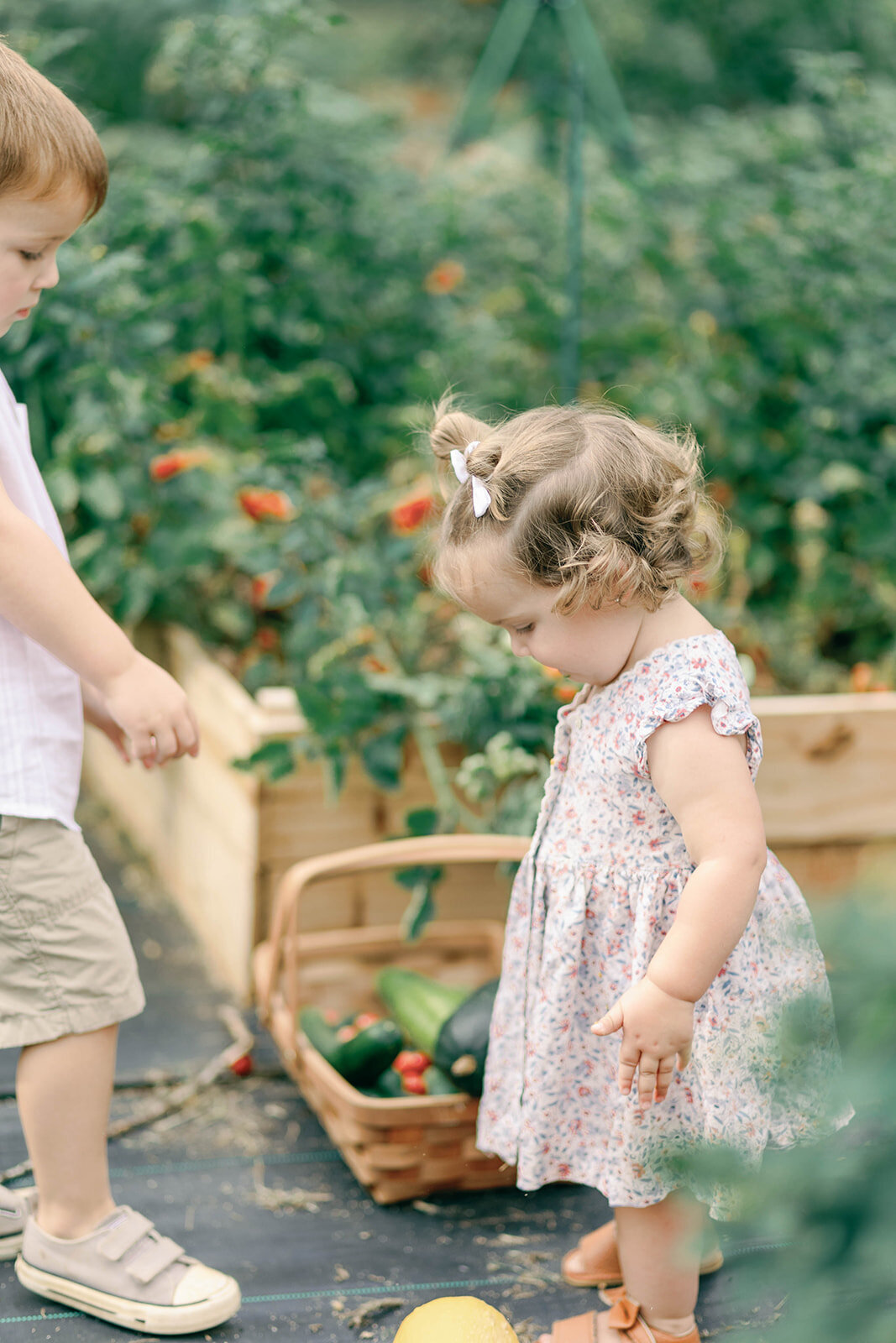 Kids playing in the garden