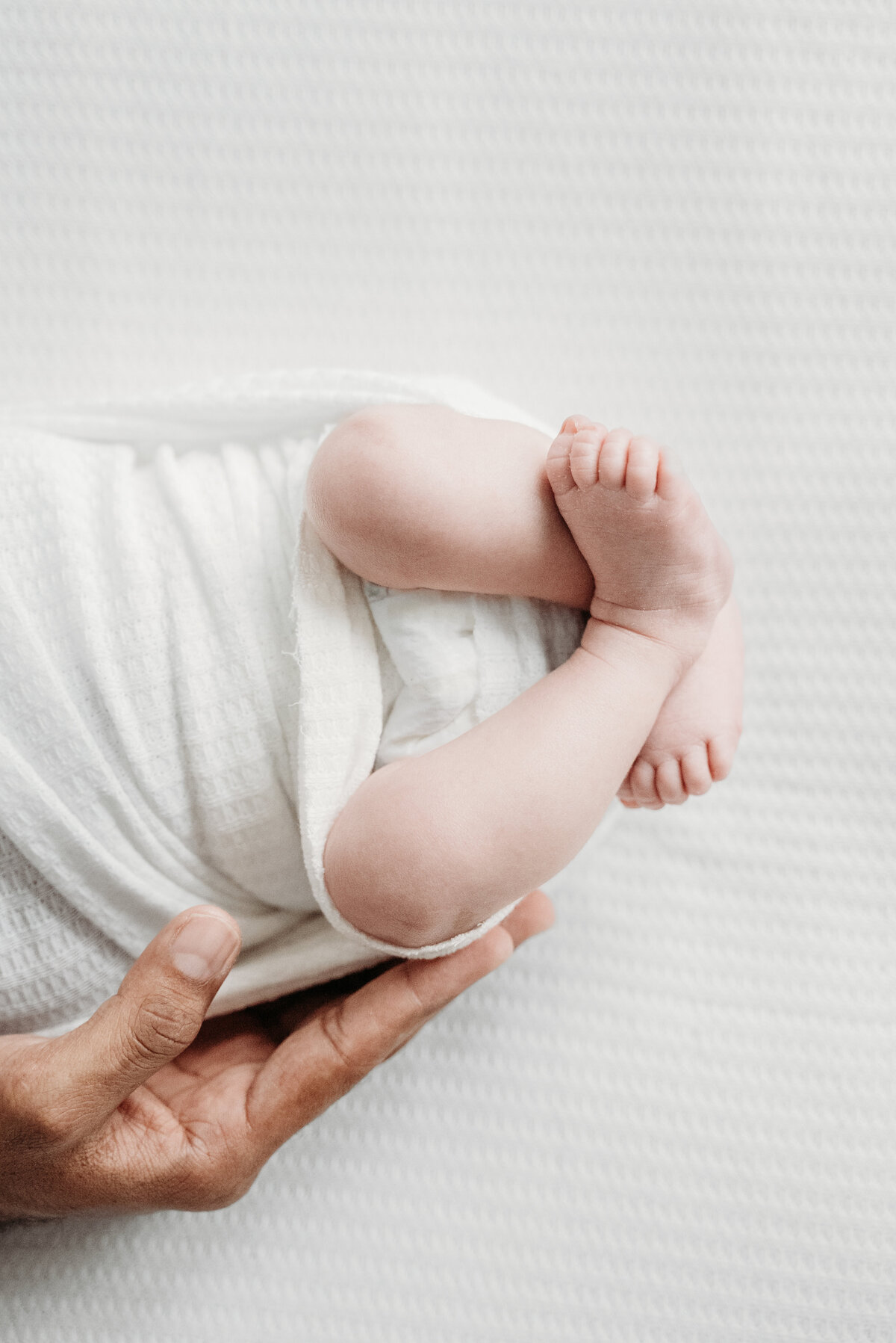 Baby feet held by dad during a photoshoot, Bartlett, IL