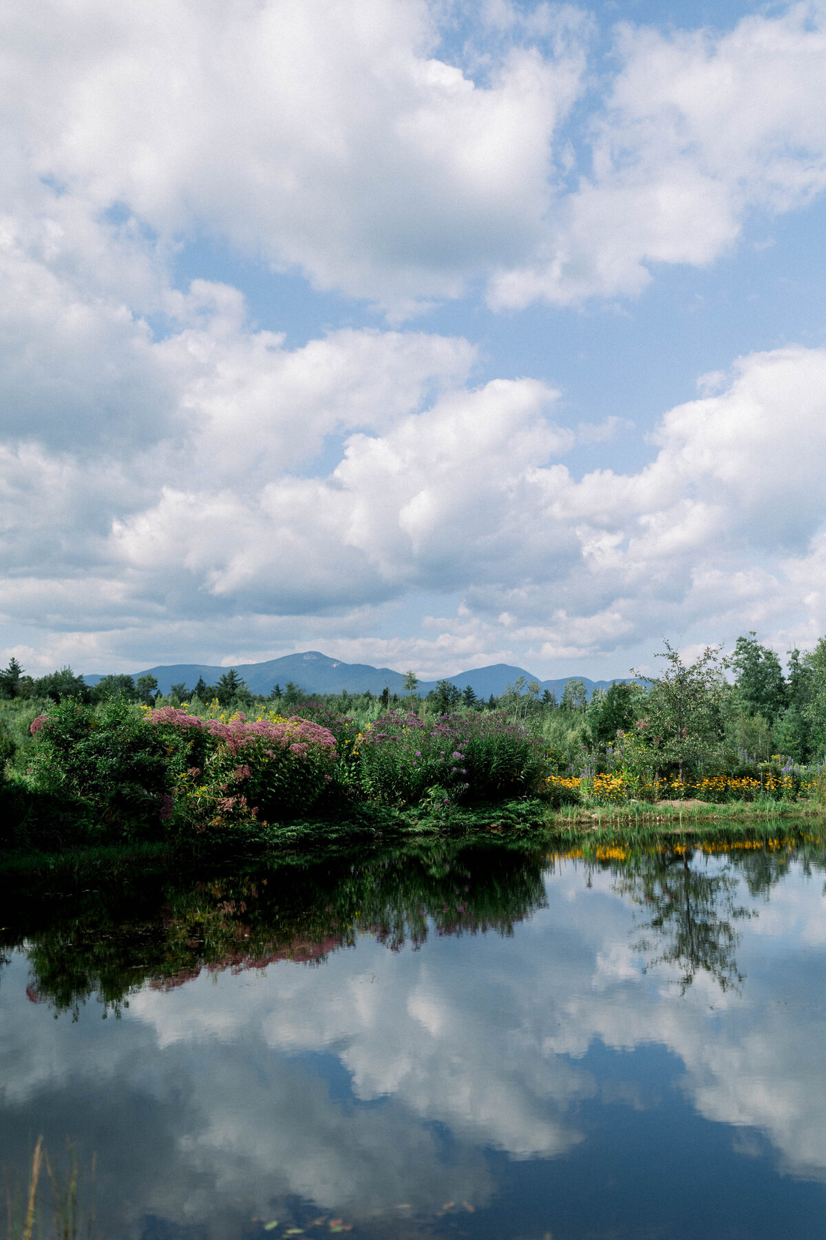 landscape of pond with mountains