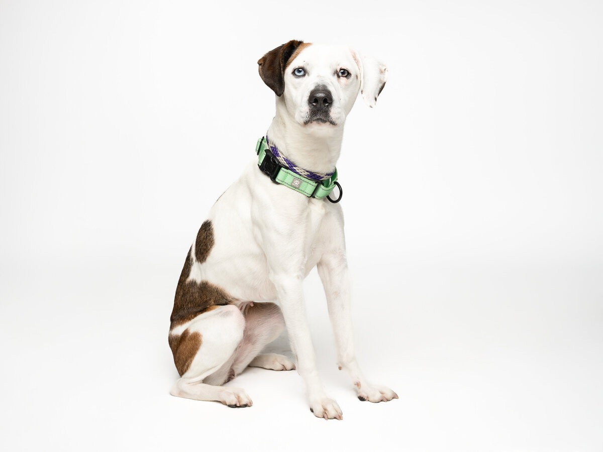 Website3500-DSC01454