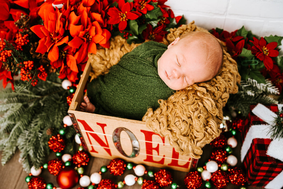 Pittsburhgh Newborn Photographer-