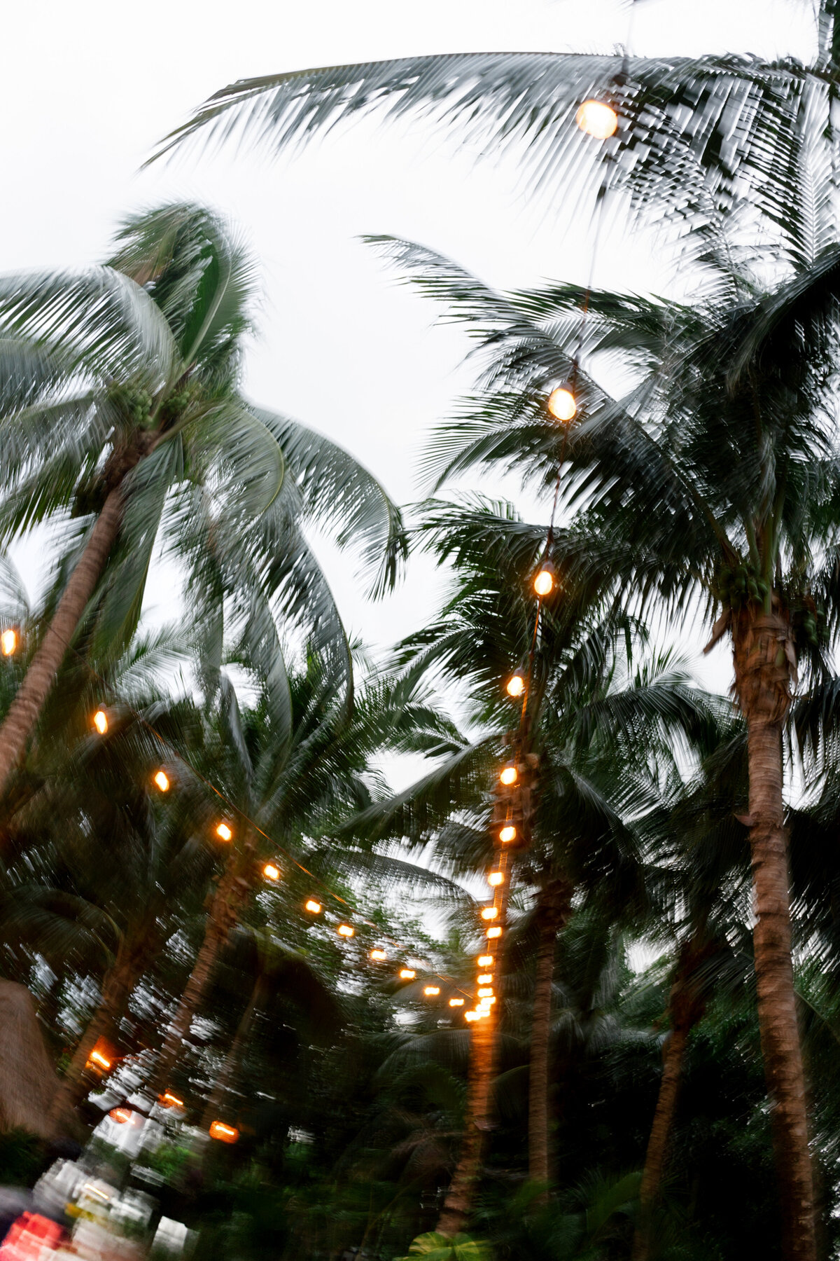 Berlez-Aspen-Avenue-Chicago-Wedding-Photographer-Grace-and-Ivory-Wedicity-Mexico-Editorial-Luxury-Tropical-Aveil-Brides-Designer-175