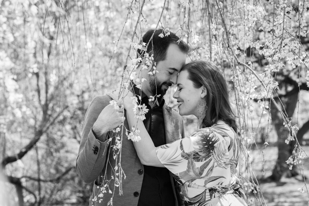 A couple embracing under a tree with vines hanging down