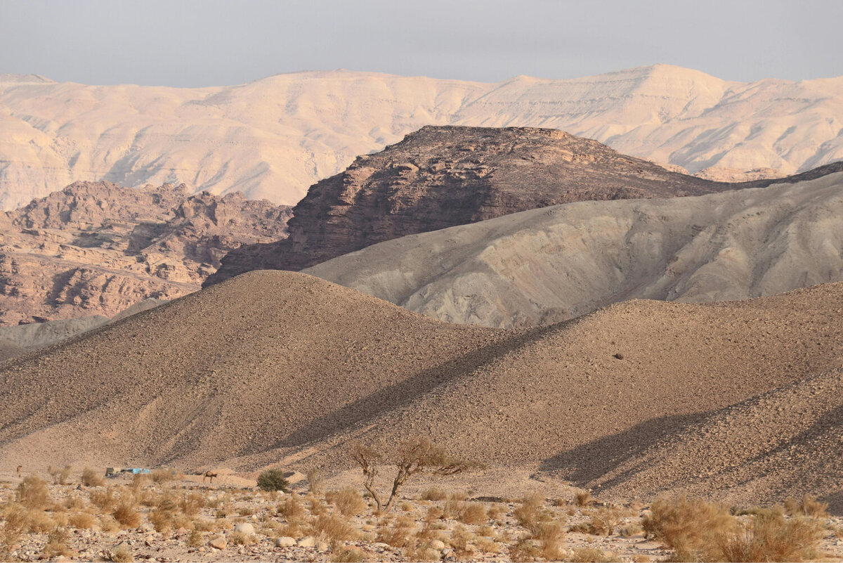 Landscape photo of a sandy and rocky beige desert.