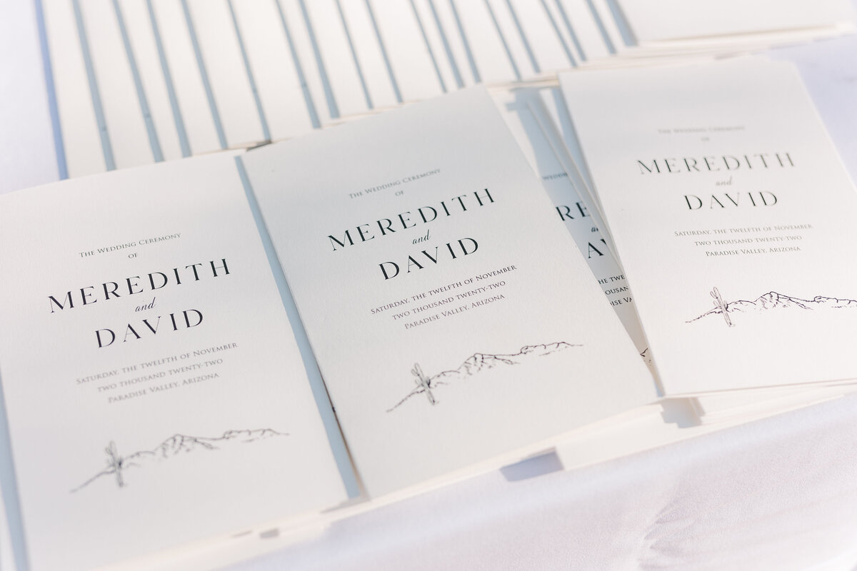 MEREDITHDAVID111222-78