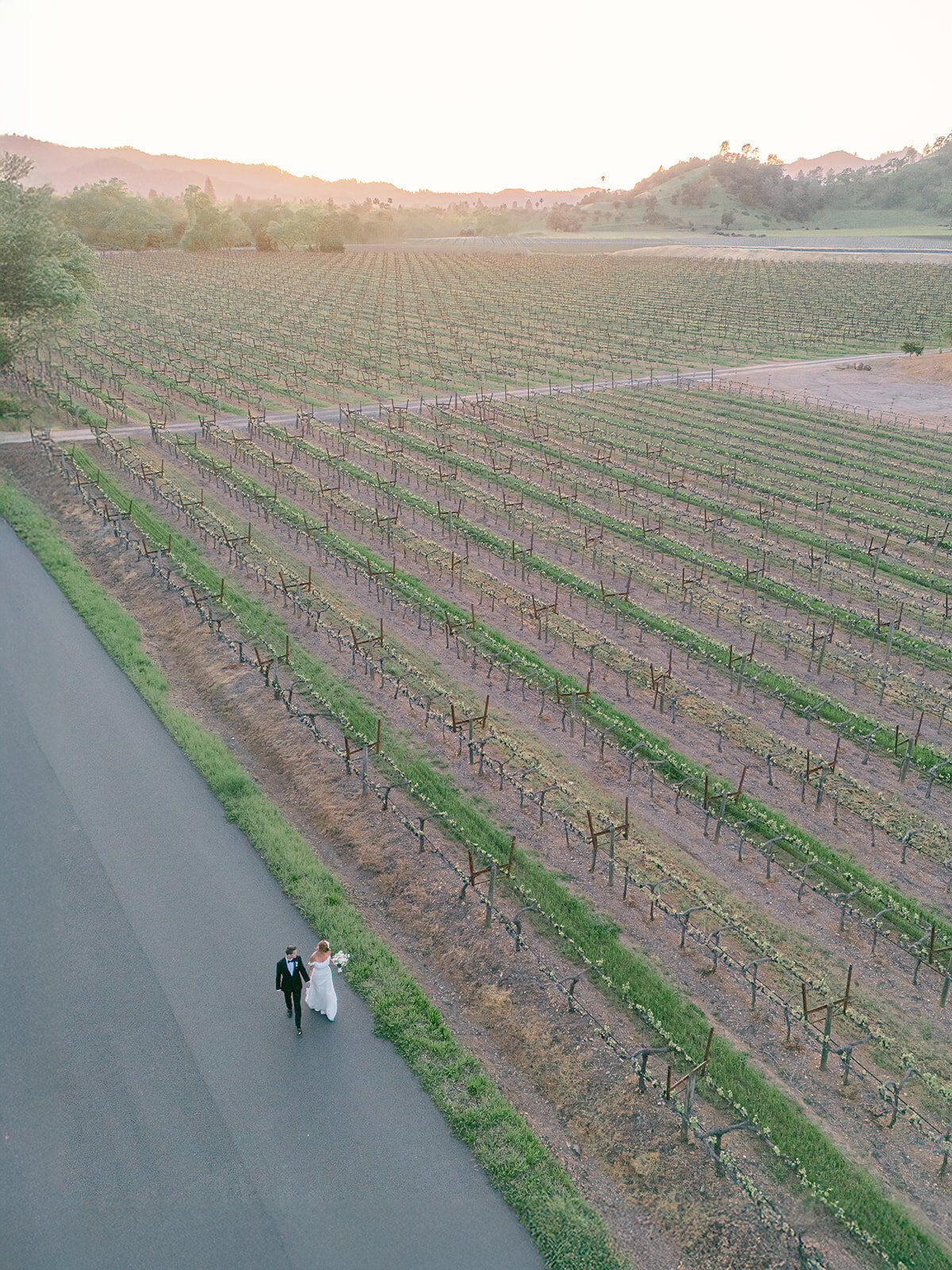 with_grace_and_gold_showit_theme_showit_themes_showit_template_showit_templates_showit_design_showit_designer_best118