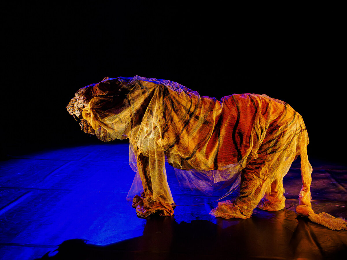 HISTOIRES INVISIBLES Le truculent exode rural des fantômes du Bengale ©Marie Charbonnier-68