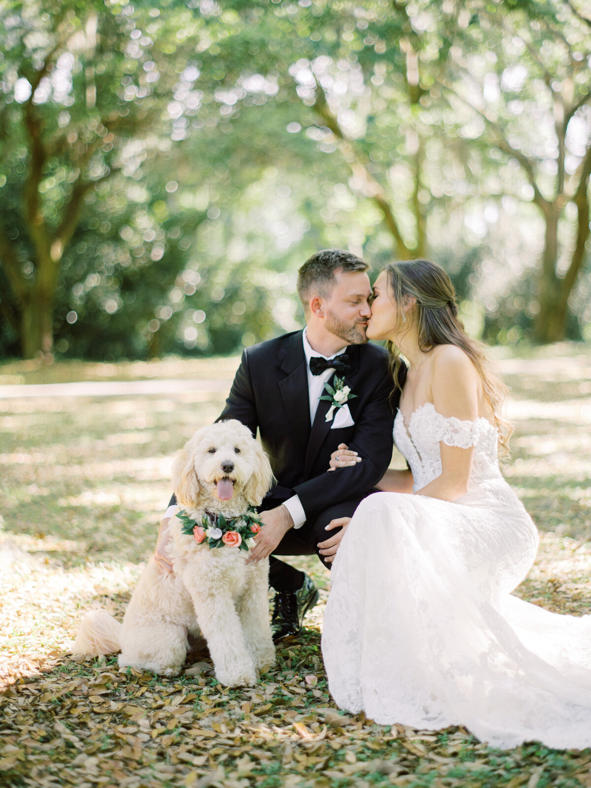weddings-with-dogs
