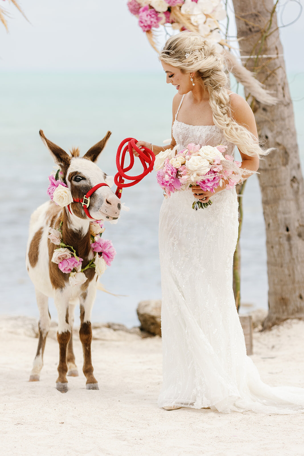 A charming wedding moment featuring a floral-adorned donkey at Brenda & Stephen’s Cheeca Lodge wedding.