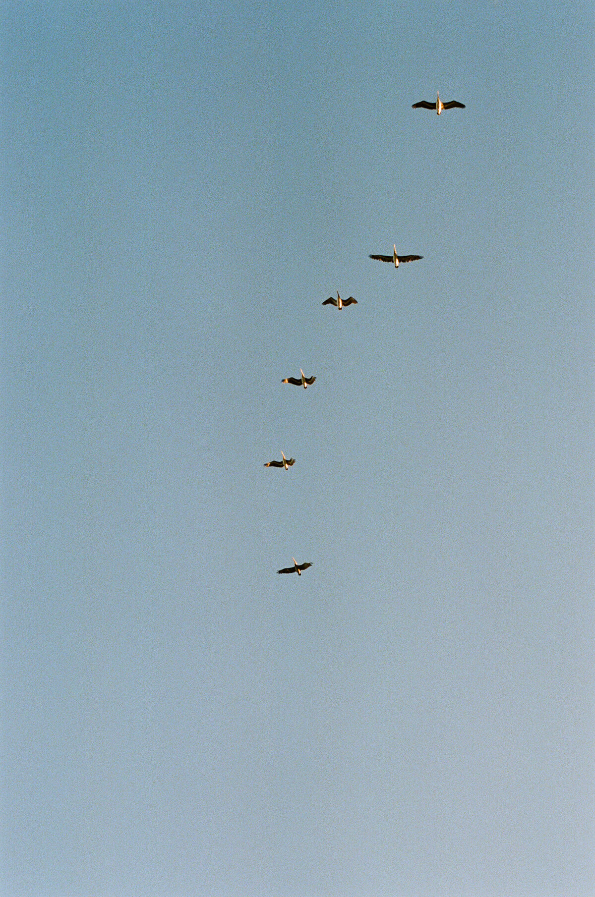 TashiJamie-crystalkphotos-Film-7