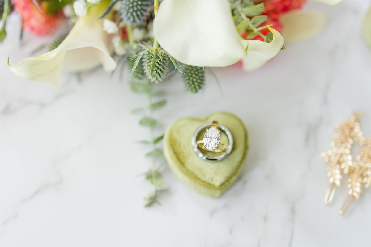 KatieShowalterPhotography_Ludwig-21