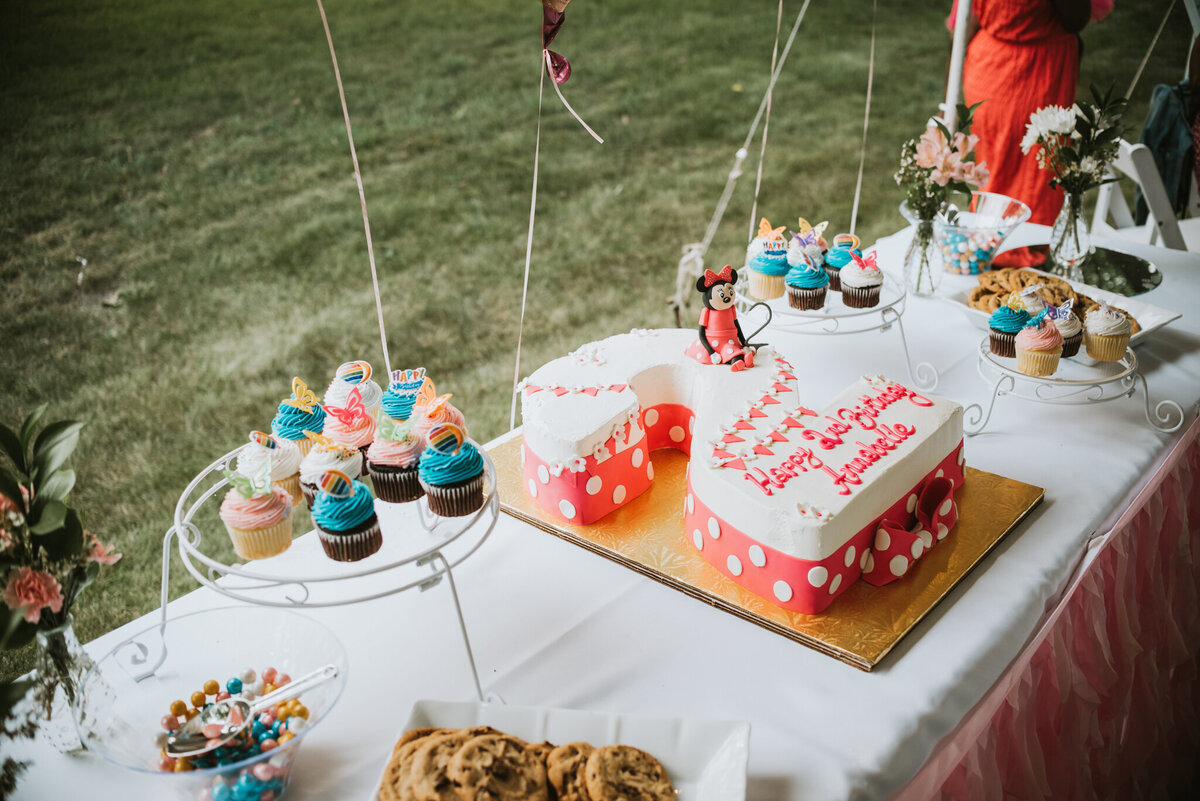 outdoor-minnie-mouse-birthday-celebration-18