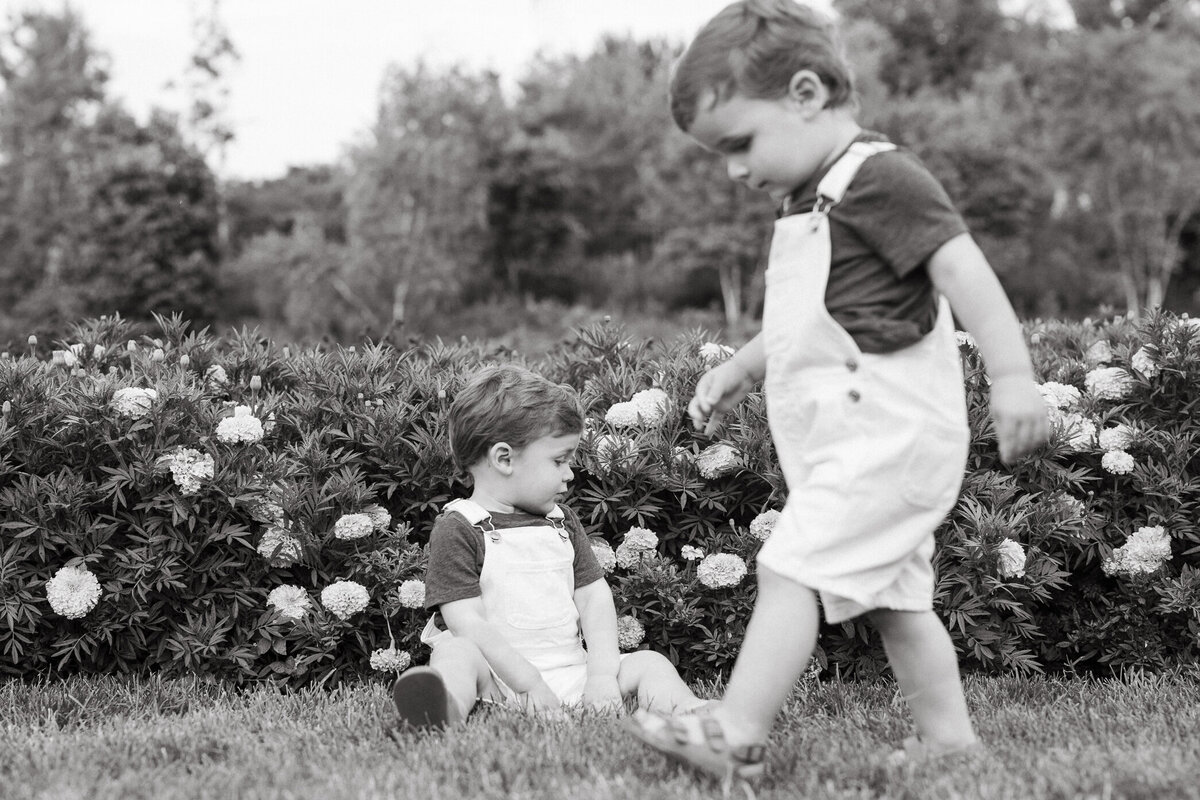 chicago family photographer-6754