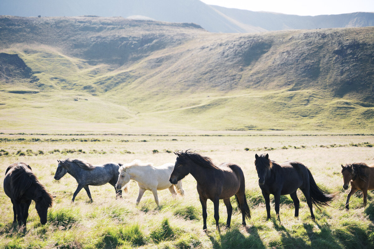 iceland-elopement-photographer-25