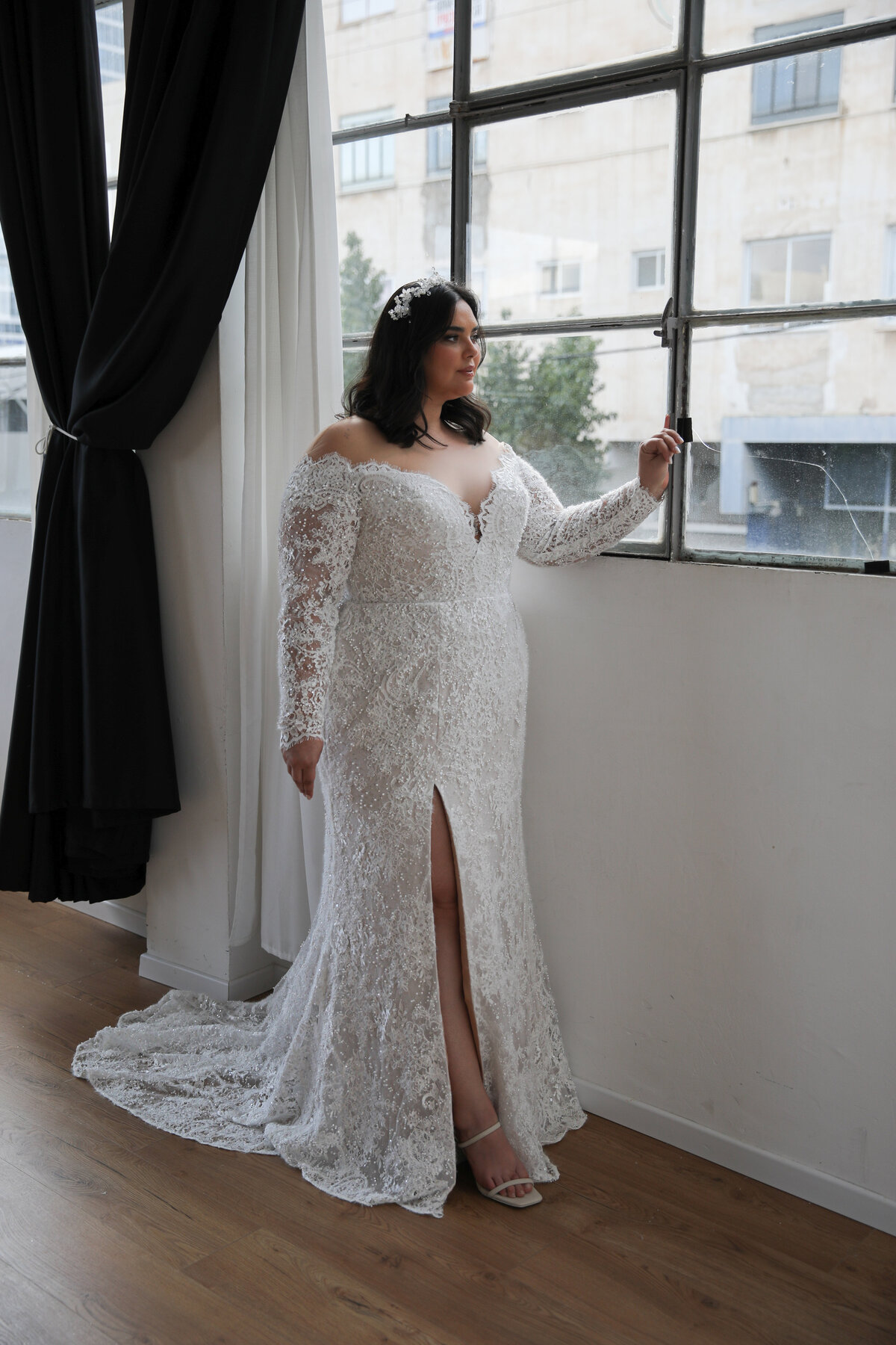 Fitted Lace Plus Size Wedding Gown