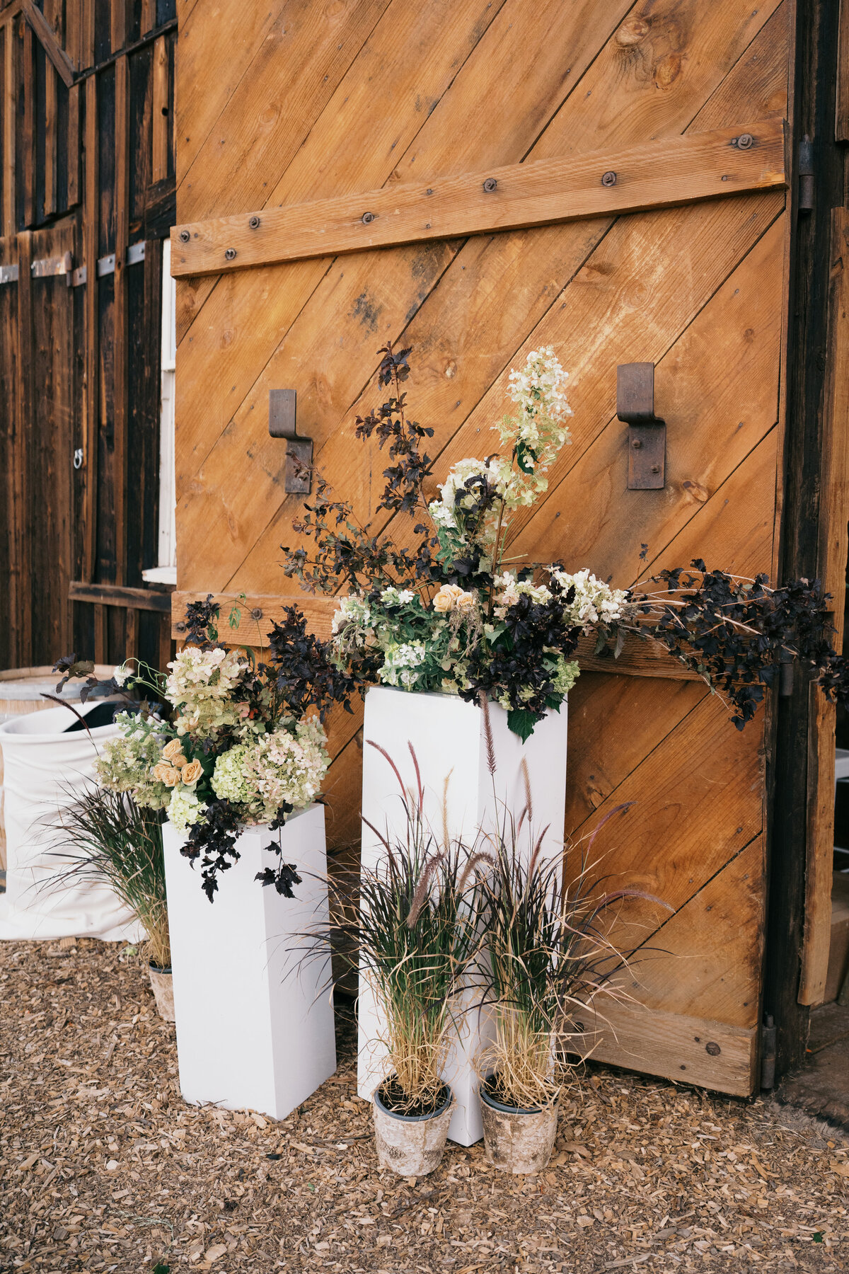 jacqueophoto_Alyssa_Daniel_Sneakpeek-95