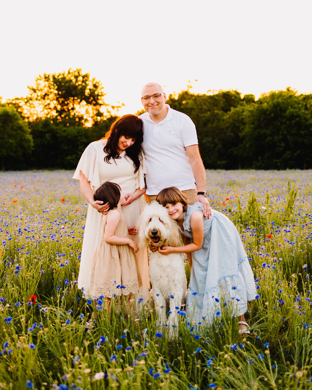 Custom family photography in Albuquerque features a heartwarming garden scene with vibrant purple and red flowers. The girl in a blue dress is affectionately hugging a white dog, while the woman gazes lovingly at a smaller girl in a light pink dress.