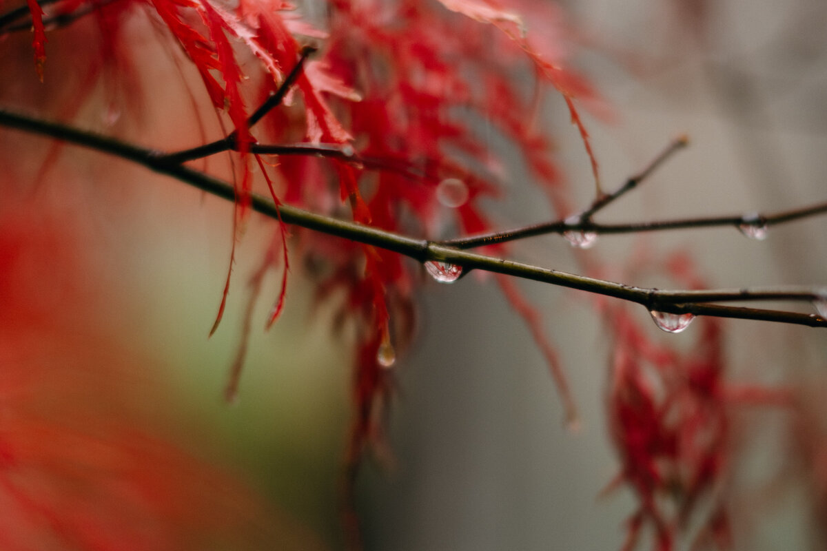 DSCF4883