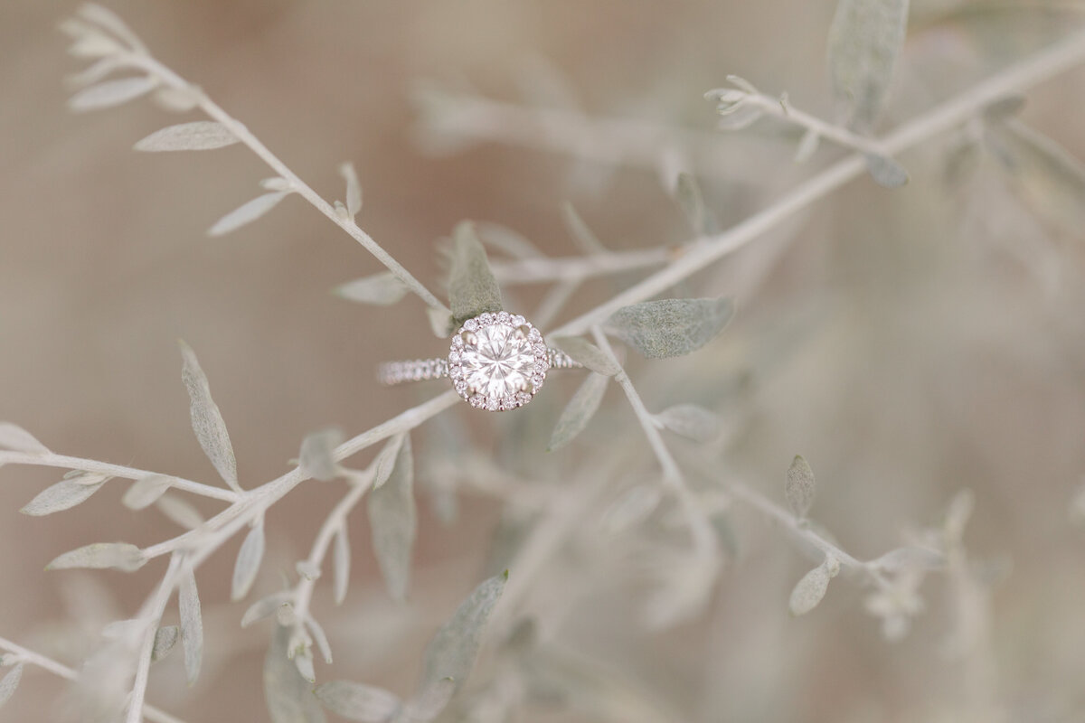 Jennifer B Photography-Weymouth Gardens-Southern Pines-Jackson and Hannah-Engagement-2020-0199