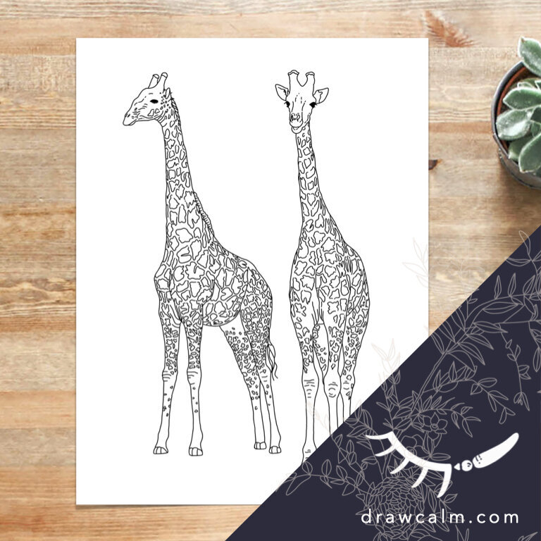 coloring-page-giraffe