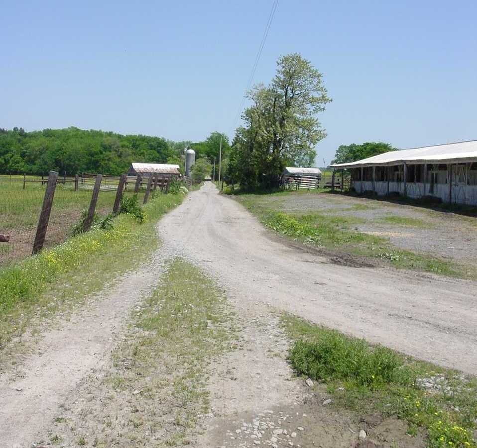 11c Looking Down Lane N