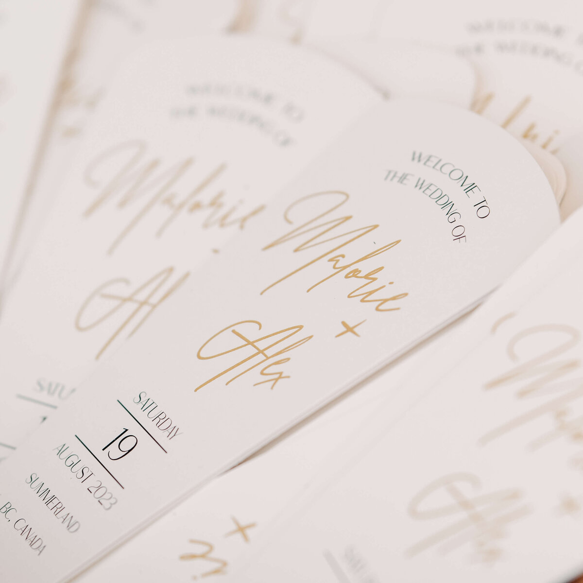 Kelowna-wedding-photographer (3)