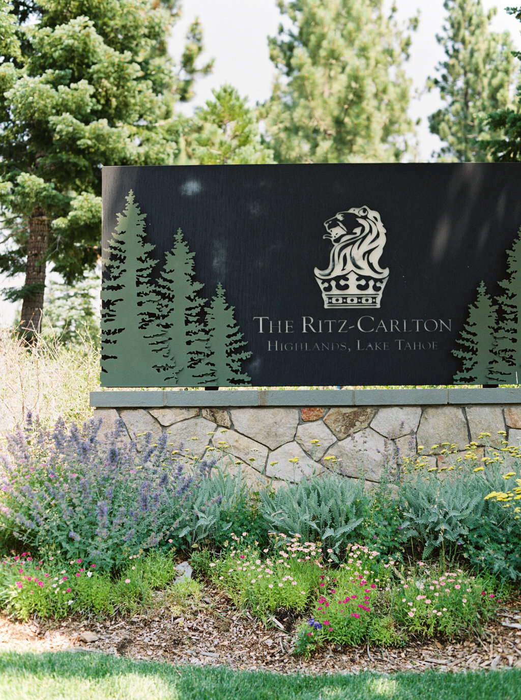 ritz-carlton-tahoe-wedding-1[1]