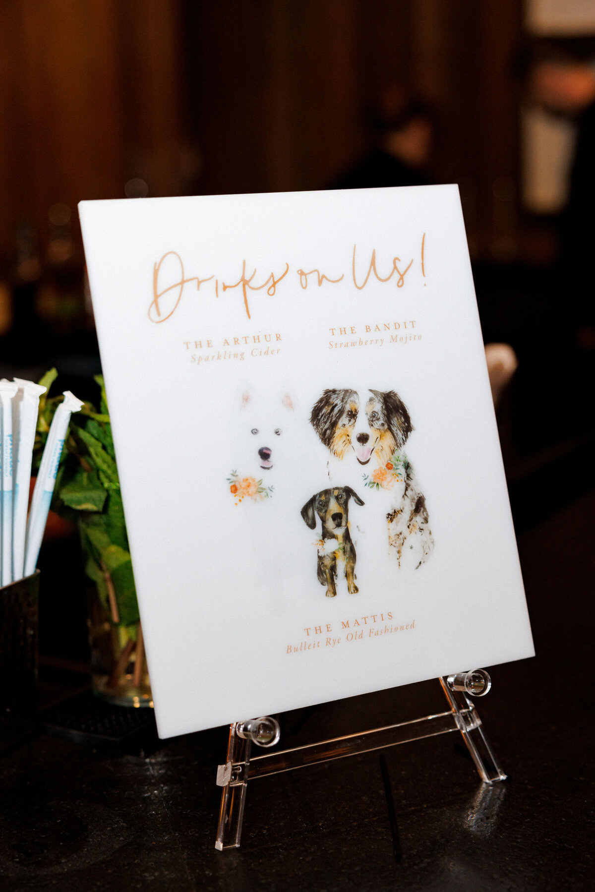 Wedding Interlachen Country Club Coco & Jordan by Party Perfect Jordan-and-Coco-1733