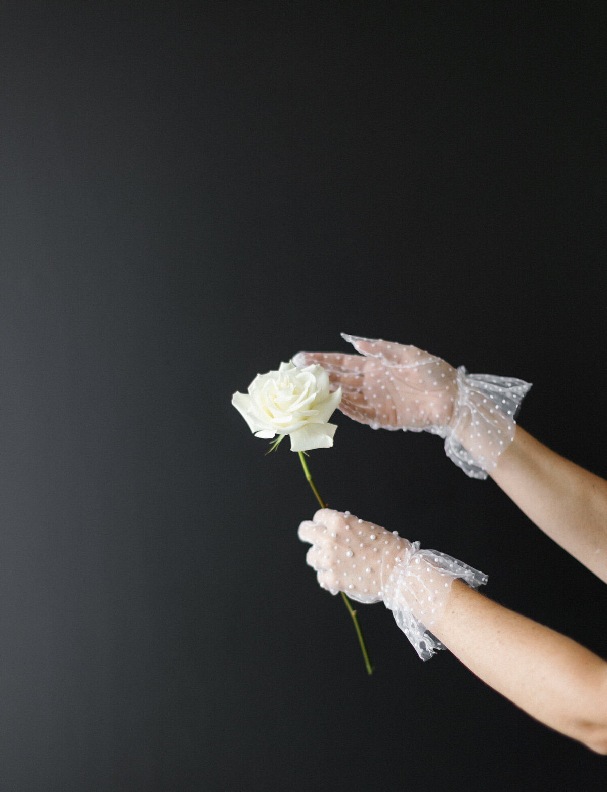 hands with pearl tulle gloves hold single stem white rose, dark background, florist film branding photo