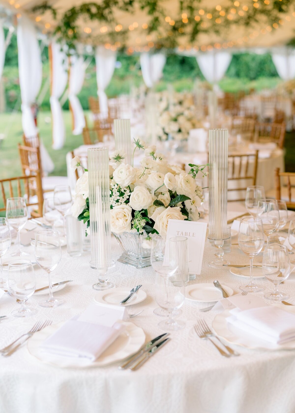 AbbySchuylerWedding_LF_1447