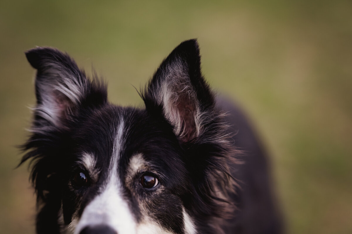 HelenS_Spring2025_003