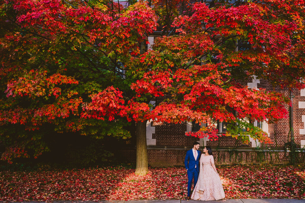 A wide shot of the engaged bride and groom in traditional indian clothing standing under a red tree in the fall at princeton university