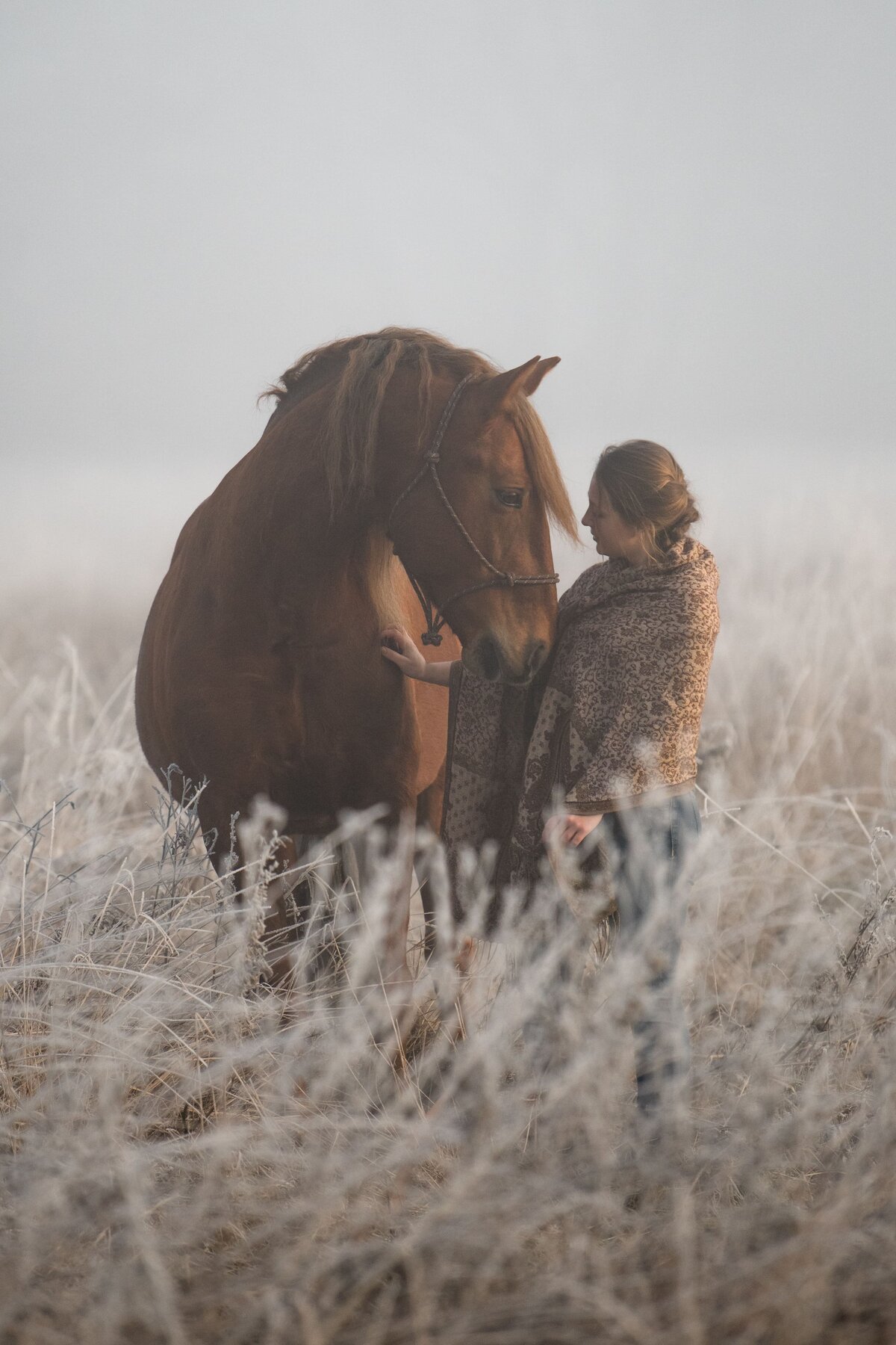 Pferdebilder-mystisch-Frost-Tierfotografie-Zafiri