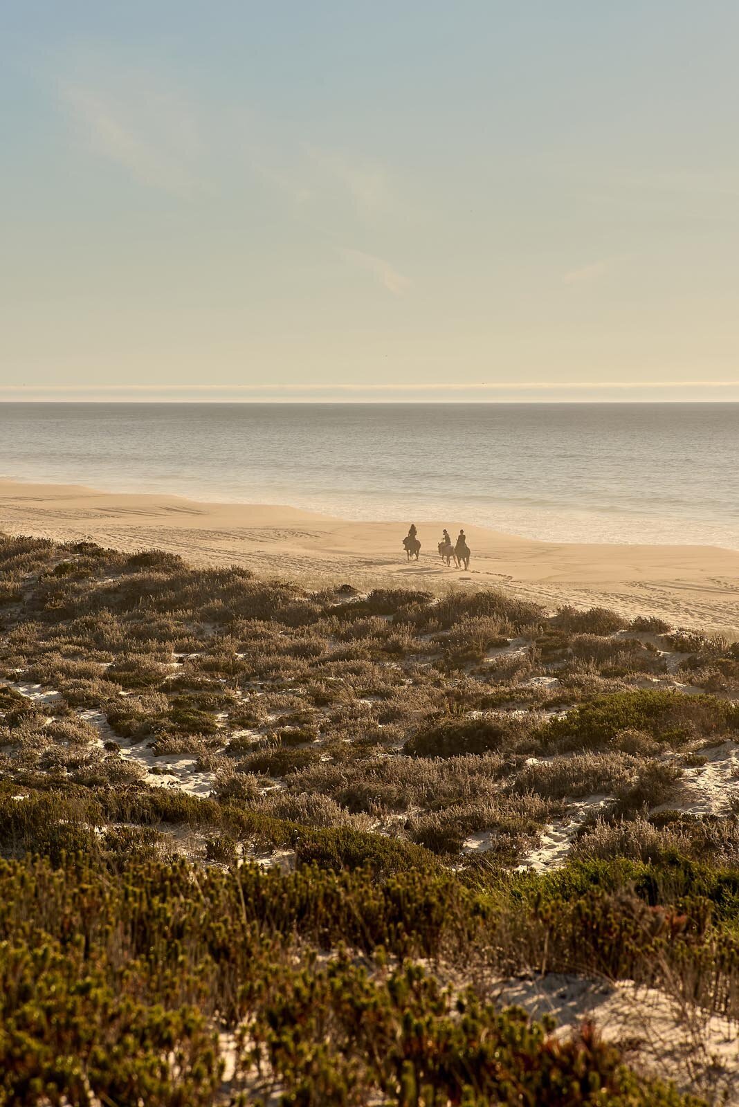 Portugal-Beach-Horses-01