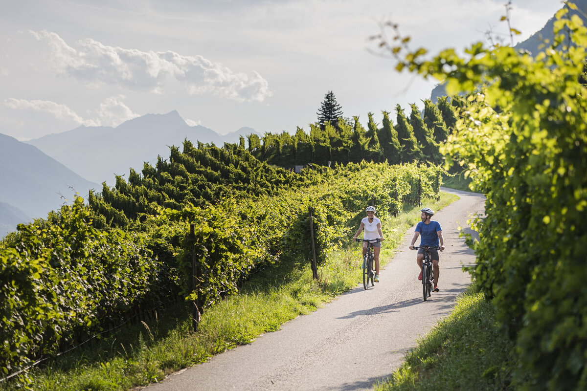 Waterstone - Dolce Vita Hotels - South Tyrol - Luxury Boutique Hotel - Bike (1)