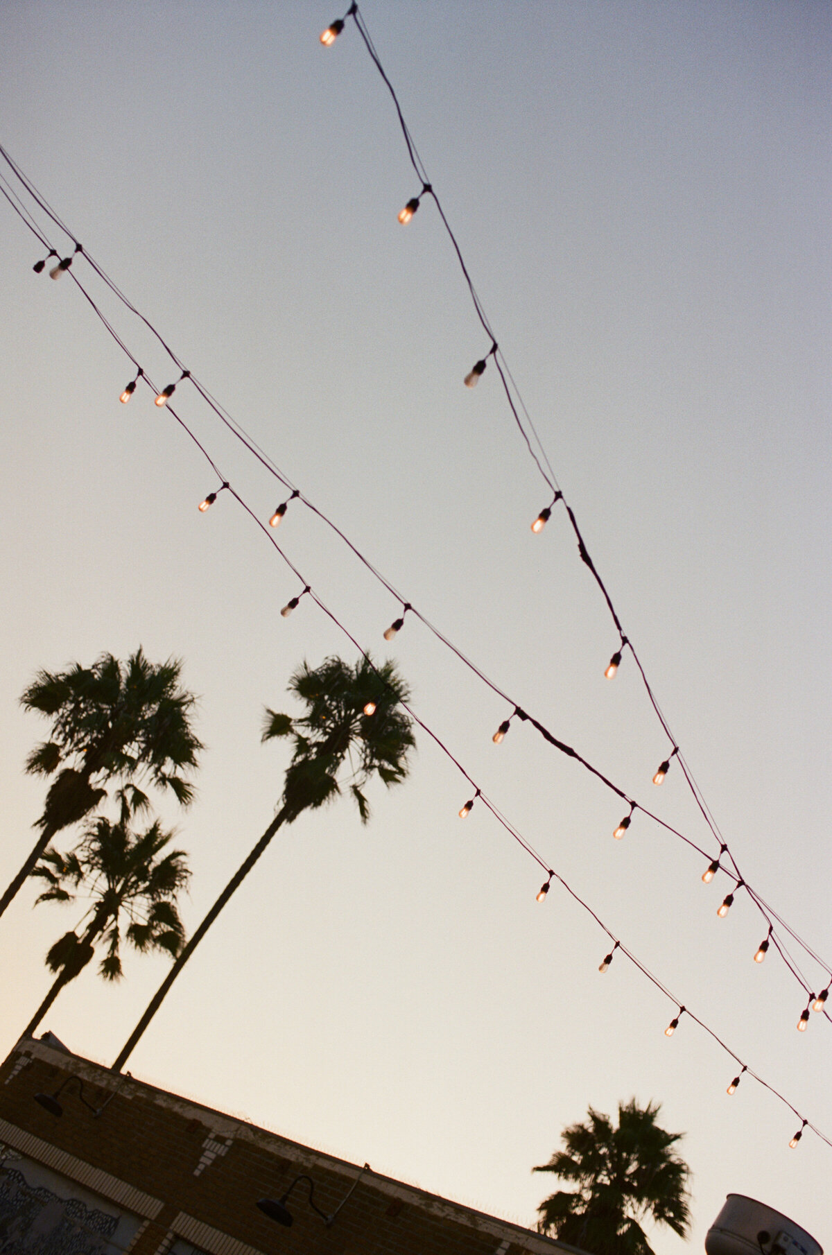 Jenny Losee Photography (24 of 28)