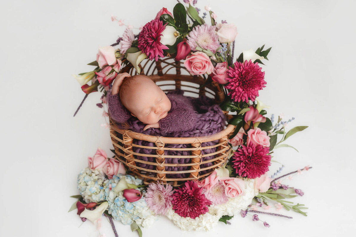 Baby posed for Newborn Portraits in Charleston, SC.