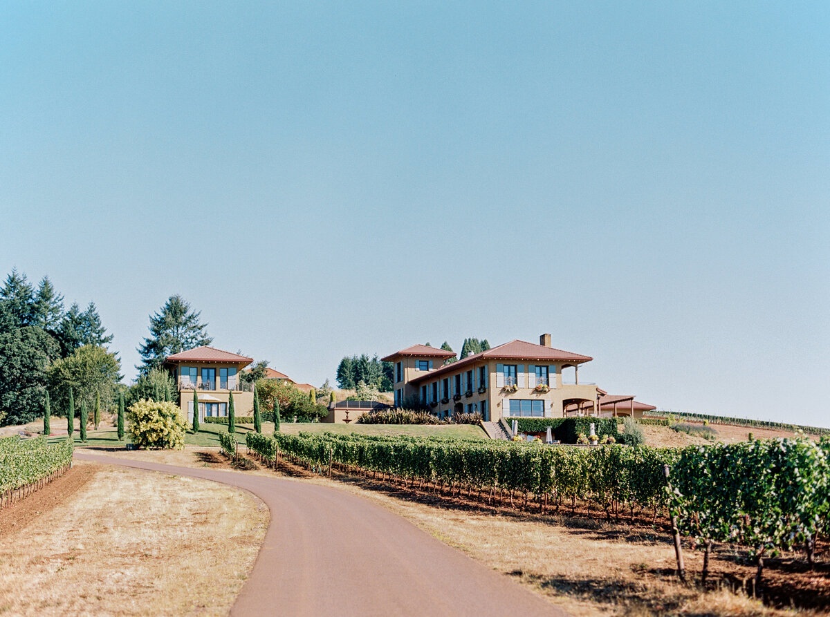 wedding-at-black-walnut-inn-and-vineyard-photography-by-the-tenneys-01