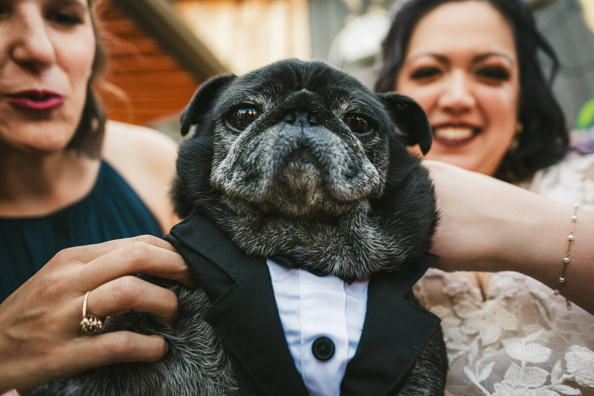 the-design-barn-wedding-sarah-steven-159