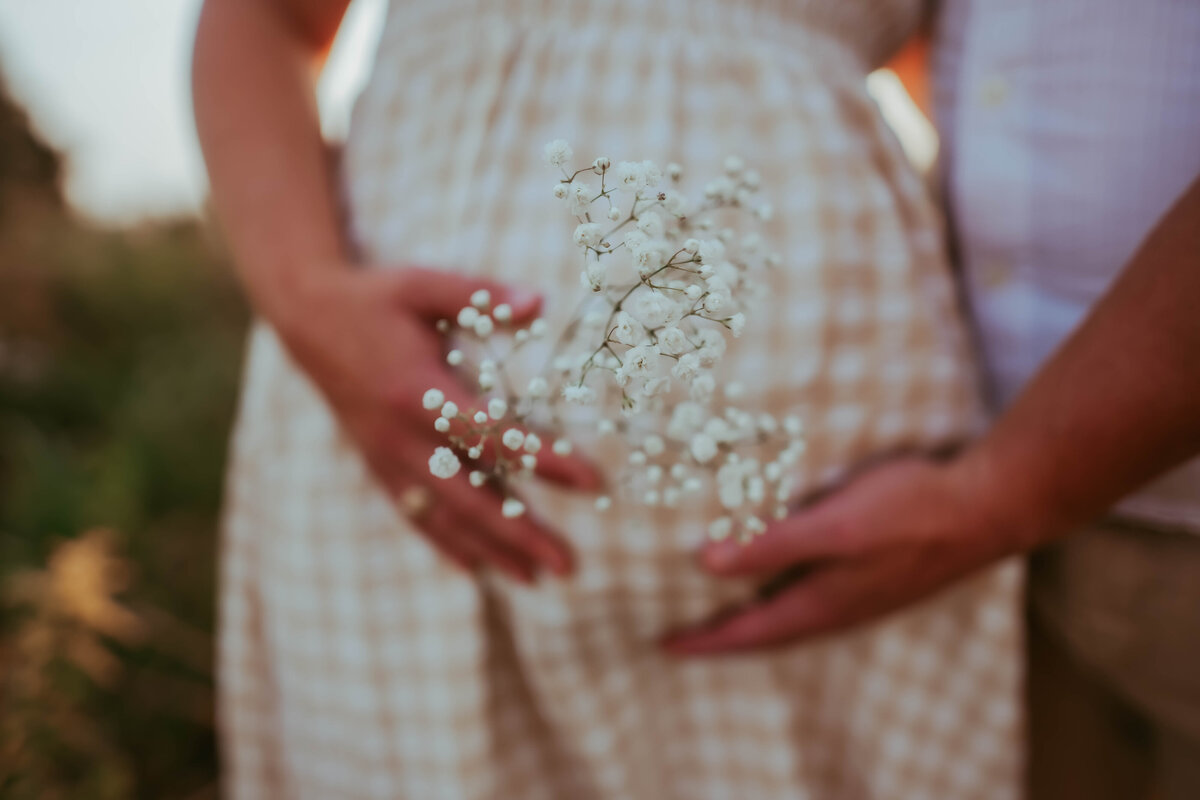 Elizabeth Priniski Madison Maternity Photographer Nicci SP-10