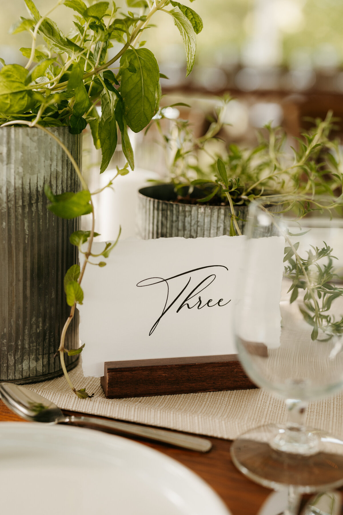 potted herb arrangements