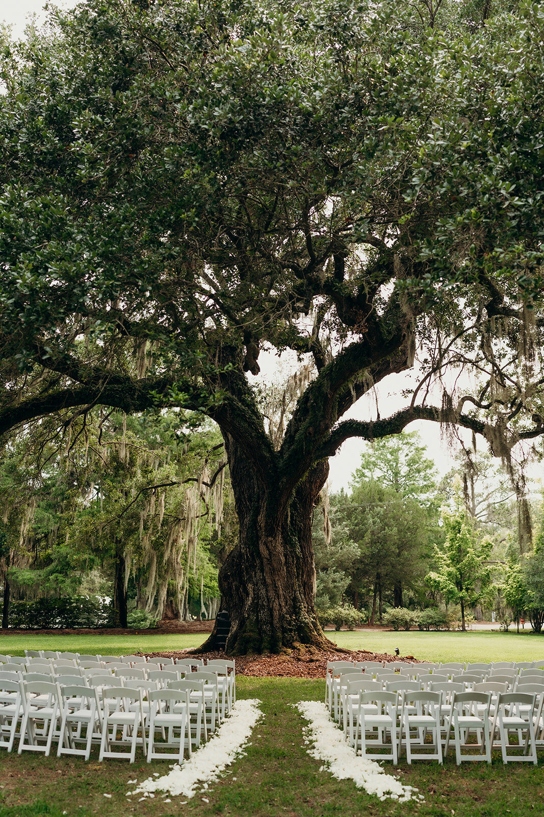 1828 Collective - Magnolia Plantation - Ceremony-2_websize