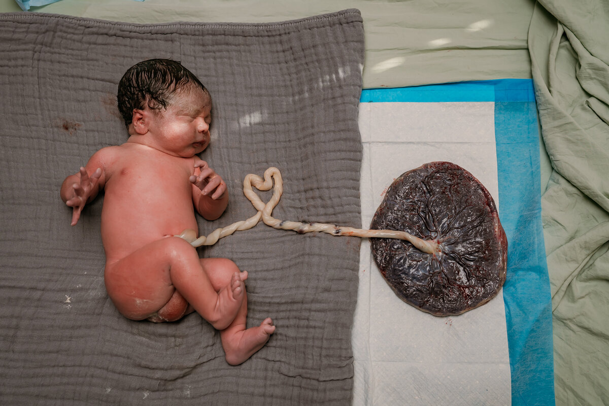 AllyDavisPhotography104