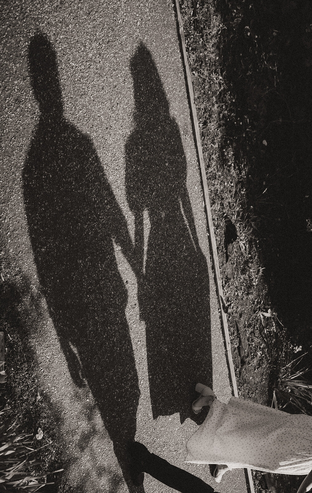 engagement-vancouver-queenelizabethpark-silhouette