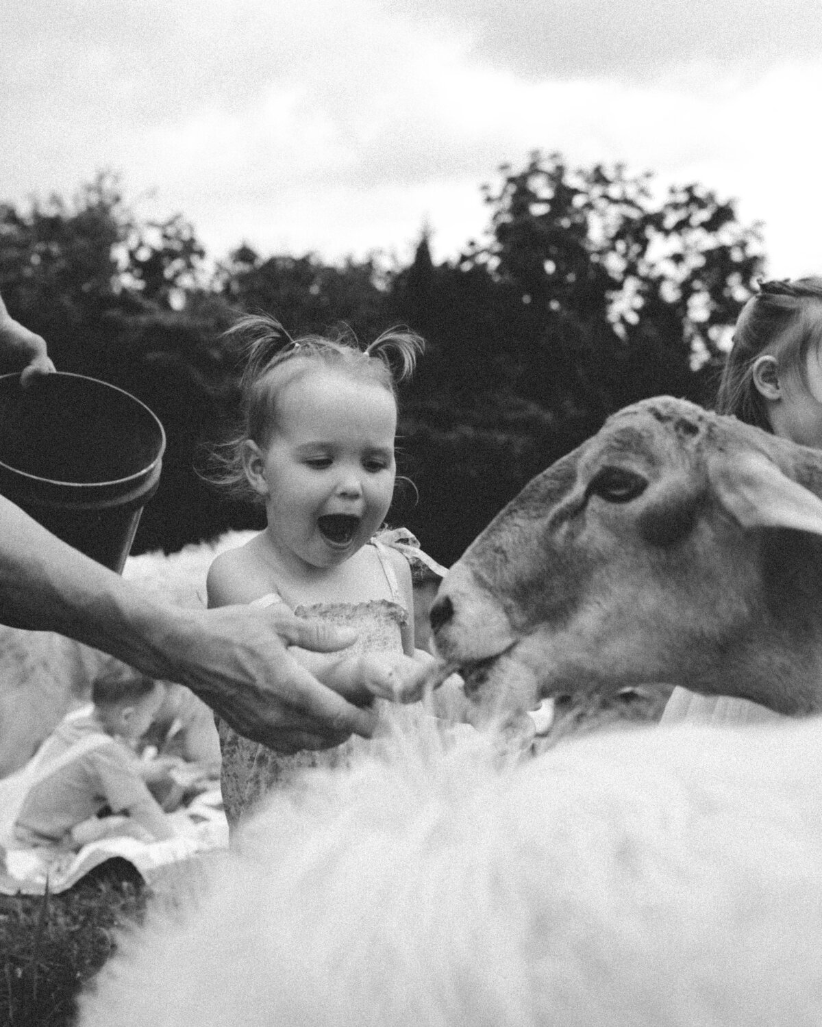 hartsburg-mo-farm-family-session-columbia-photographer-240608-0021